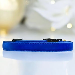 Royal Whiskers - Blue Velvet Cat Collar, Velvet kitten collar, Small dog collar, Breakaway pet collar, Luxe blue velvet cat collar.
