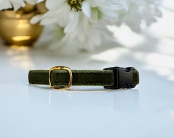 May include: A green velvet cat collar with a gold buckle and a black plastic clasp.