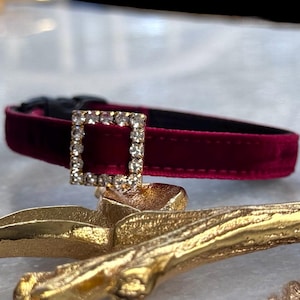 May include: A burgundy velvet cat collar with a gold square-shaped buckle adorned with clear rhinestones.