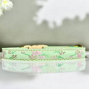 Meadow Bloom - Embroidered Cat Collar, Small Dog Collar, Kitten Collar, Fancy Cat Collar, Green Luxurious Pet Collar, Breakaway Cat Collar.