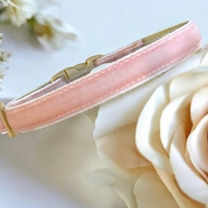 Whispering Blush Velvet Cat Collar - Light pink-peach velvet pet collar, Kitten collar, Breakaway cat collar, Luxe velvet cat collar.