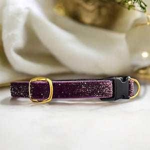 May include: A purple velvet cat collar with gold glitter and a black buckle.