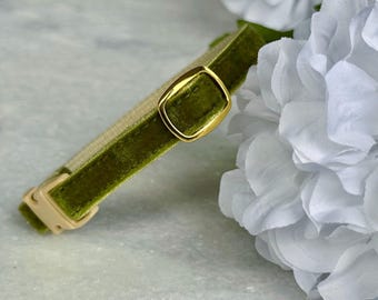 Olive Luxe Velvet Cat Collar - Posh velvet cat collar, Soft kitten collar, Small dog collar, Breakaway pet collar, Olive velvet pet collar.