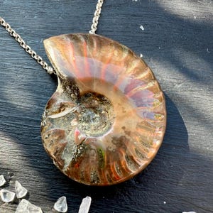 Red opalescent Ammonite Pendant, drilled Fossil Necklace