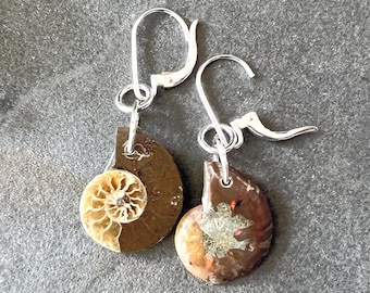 Reversible Ammonite Earrings with opalescent flash 1.6 inches
