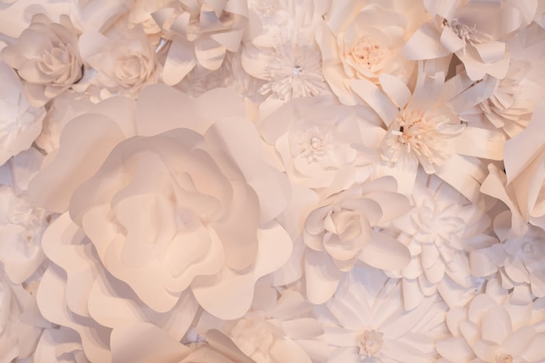 Paper Flower Wall, Paper Flower Backdrop, Wedding Decoration, Backdrop