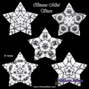 May include: Five white and grey star-shaped beaded ornaments with a black background. The text "Bicone Mini Stars" is at the top of the image. The text "Peyote Star" is at the bottom of the image.