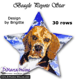 Tutorial 30 rijen - 3D Peyote-sterkralenpatroon BEAGLE met basisinstructies