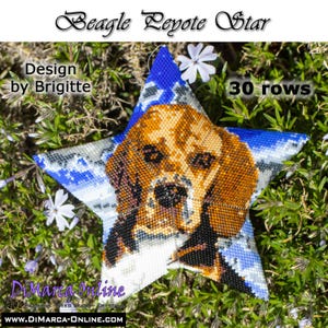 Pode incluir: Enfeite em forma de estrela com um retrato de c&atilde;o Beagle em contas. O enfeite tem uma borda azul e branca estampada e o texto "Beagle Peyote Star". O design &eacute; de Brigitte, com 30 fileiras. O site DiMarca-Online.com tamb&eacute;m &eacute; vis&iacute;vel.