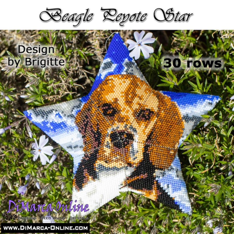 Pode incluir: Enfeite em forma de estrela com um retrato de c&atilde;o Beagle em contas. O enfeite tem uma borda azul e branca estampada e o texto "Beagle Peyote Star". O design &eacute; de Brigitte, com 30 fileiras. O site DiMarca-Online.com tamb&eacute;m &eacute; vis&iacute;vel.