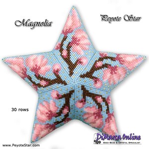 May include: A blue and pink star-shaped beaded ornament with a magnolia flower design. The ornament is 30 rows of beads and is called "Magnolia".