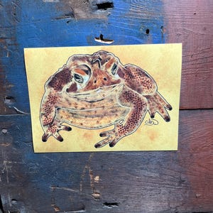 Toad art print (unframed)