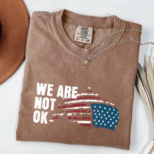 Upside down American Flag SVG PNG, Anti Trump Shirt, We Are Not Ok Shirt, FDT Tshirt, Resist Shirt, Protest Tee, Anti Maga Political T-Shirt