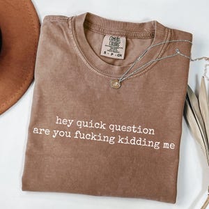Puede incluir: Una camiseta marrón Comfort Colors con el texto "hey quick question are you fucking kidding me" en blanco. Un collar plateado con un pequeño colgante está drapeado sobre la camiseta. Un sombrero marrón es visible en la esquina superior izquierda.
