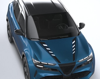 Libera la personalidad de tu coche con pegatinas de vinilo compatibles con Junior