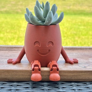 Succulent Buddy Pot, Cute Plant Planter, Quirky Desk Planter, Cute Pot for Plants, Tiny Planter with Arms, Gift for Plant Lover,