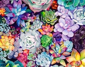 Succulent Painting - Watercolor Painting - Succulent Garden - Floral - Rainbow - Illustration - 8x8 Giclee Print - Home Decor