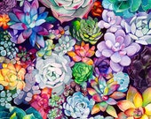 Succulent Garden - Living Room Home Decor - Flower Art - Large and Small Prints - Poster - Floral - Bright - Cacti - Cactus - Desert Plants