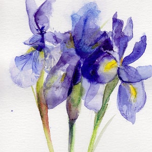 Iris I - Kwiat narodzin lutego Oryginalny obraz zdjęcie 2