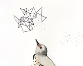 Ilustração a caneta e tinta - Desenho de arte de pássaro - Northern Flicker - Segunda edição - Impressão giclée - Impressão de ilustração de pássaro com prismas