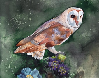 Barn Owl - Original Watercolor Painting