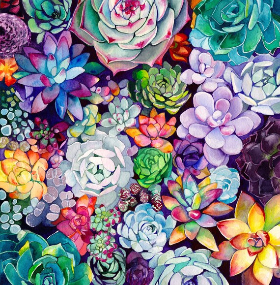 Succulent Garden - Living Room Home Decor - Colorful Art - Large and Small Prints - Poster - Nature - Bright - Pink - Blue - Statement Art