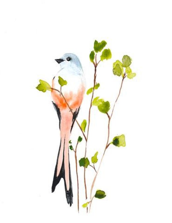 Bird Watercolor Painting - Scissor-Tail Art Print - Gift for Her - Nature Art - 8 x 10 Giclee Print - Mothers Day Gift