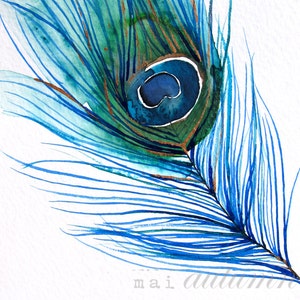 Feather Watercolor Peacock Feather I Bird Painting Bright Color 11x14 Giclee Print Wall Art Watercolor Painting Nature image 1