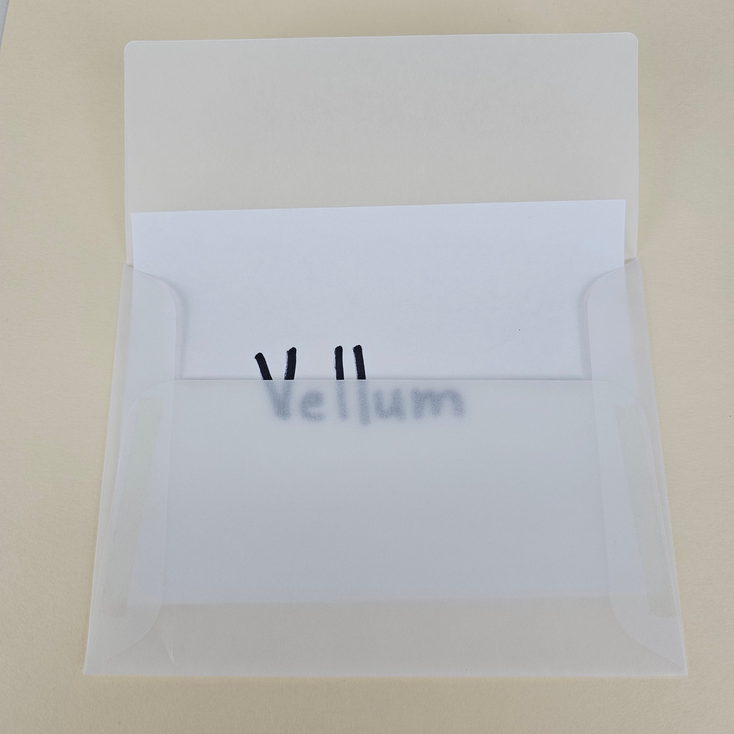 TRANSLUCENT Envelope Collection Set of 30, 10 Each Glassine, Vellum and
