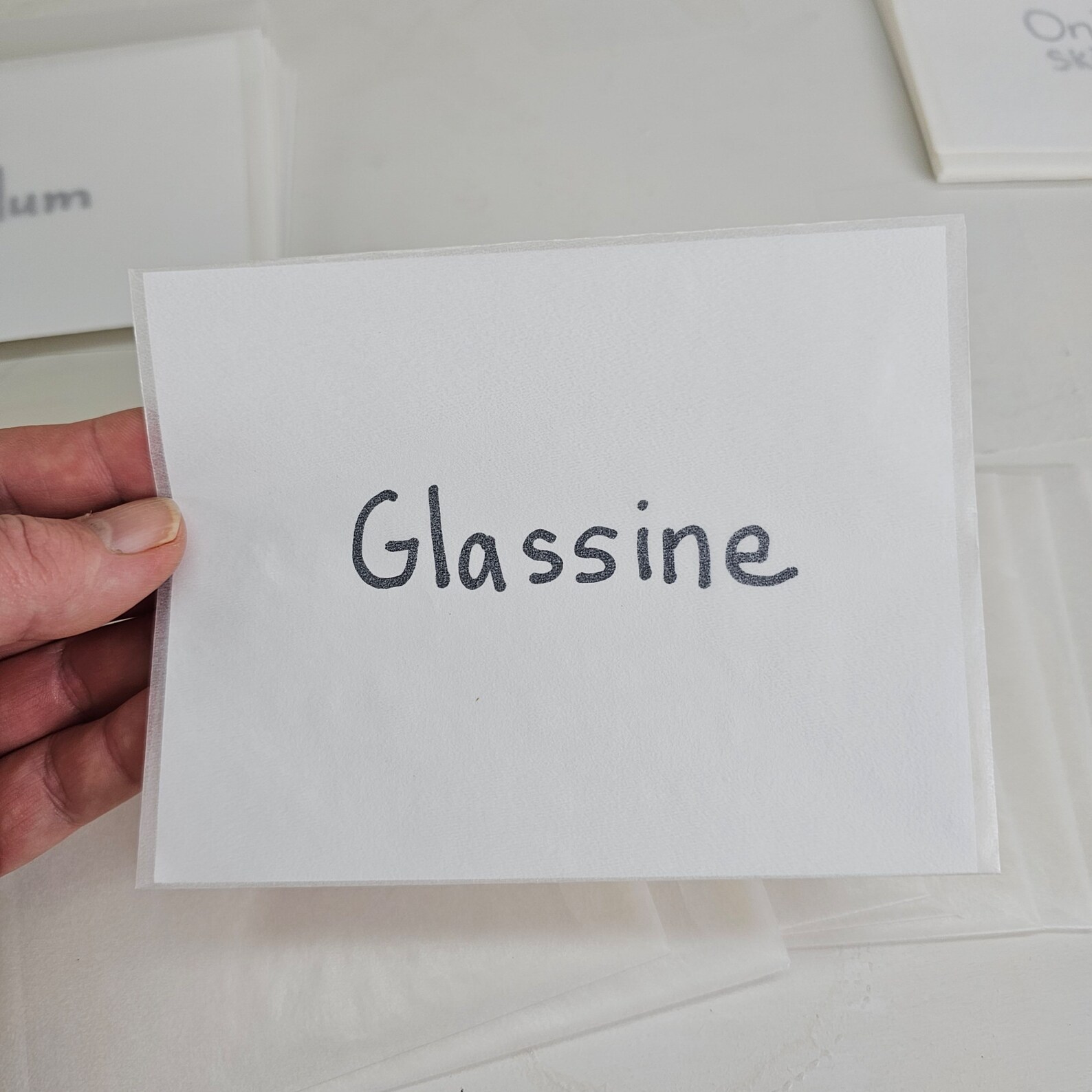 TRANSLUCENT Envelope Collection Set of 30, 10 Each Glassine, Vellum and