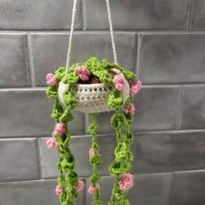 Pode incluir: Um vaso de plantas pendurado de crochê com folhas verdes e flores cor-de-rosa. O vaso é branco e tem um design simples.