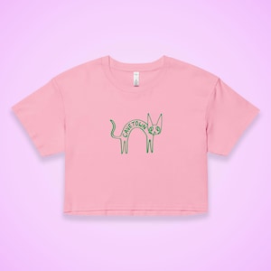 May include: A pink crop top featuring a green cartoon cat design with the word "CAVETOWN" in the center. The cat has a peace sign for an eye. The shirt has short sleeves and a crew neck.