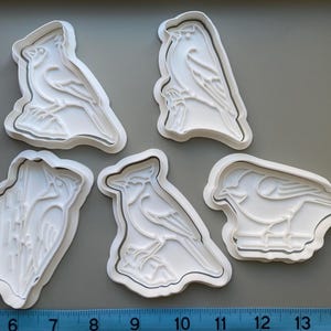 May include: Five white plastic bird-shaped cookie cutters. Each cutter features a detailed bird design, including wings, beaks, and perched on a branch. The cutters are arranged on a gray surface, with a ruler at the bottom.