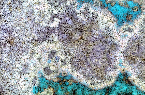Micro Colors     high-resolution digital download | Soothing colors, meditative decor, nature-inspired art any room, wall art