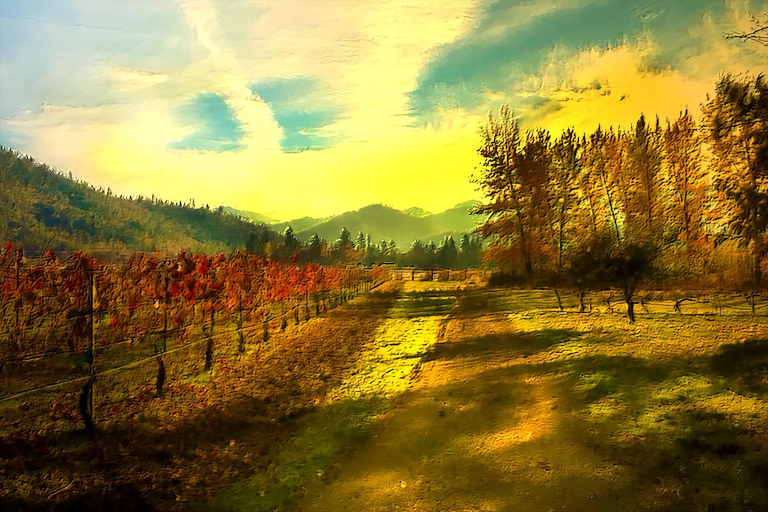 Vineyard Wall Art Print, Rustic Wine Country Decor, Vintage Vineyard