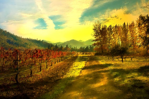 Vineyard Wall Art Print, Rustic Wine Country Decor, Vintage Vineyard Landscape Painting, Kitchen or Dining Room Decoration, Wine Lover Gift