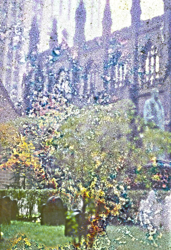 Garden beauty in abstract       high-resolution digital download | Soothing colors, meditative decor, nature-inspired art any room, wall art