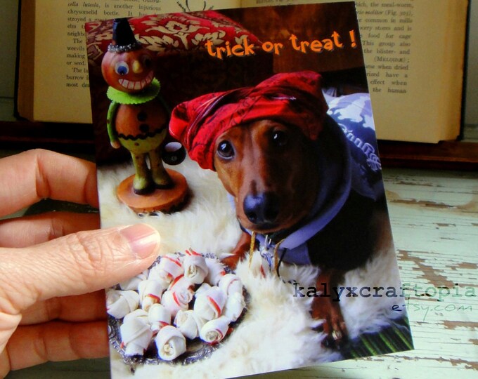 Wiener Dog Halloween Card Snoop Dogg Happy Homieween Etsy