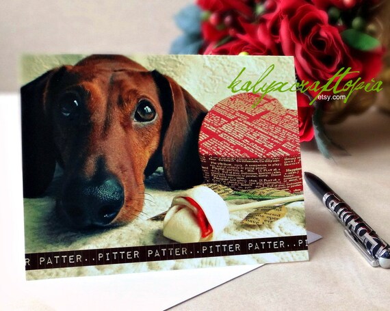 dachshund valentines day