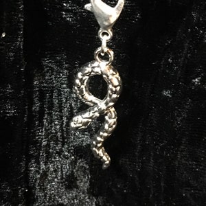 May include: A silver snake charm with a textured surface and a silver lobster clasp.