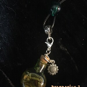 Tiny Prosperity Spell in a Bottle Talisman, Charm Spell, Witchcraft, Wicca, Hermetic, Pagan, Hoodoo, Voodoo, Voudun, Santeria, magick image 2