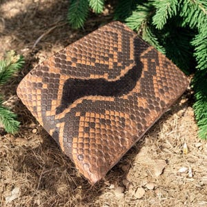 Peut inclure: Un portefeuille rectangulaire avec un motif peau de serpent dans les tons marron et noir. Le portefeuille est posé sur un lit de feuilles sèches et de terre, avec des branches de pin vert en arrière-plan.