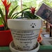 see more listings in the PET MEMORIALS - SMALL section