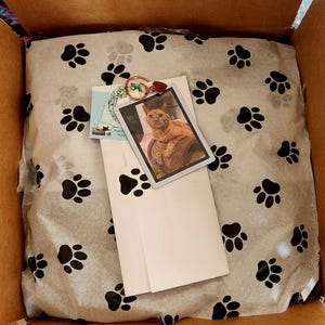 Pet memorial garden planter gift wrapped with magnetized pet photo and paw print tissue