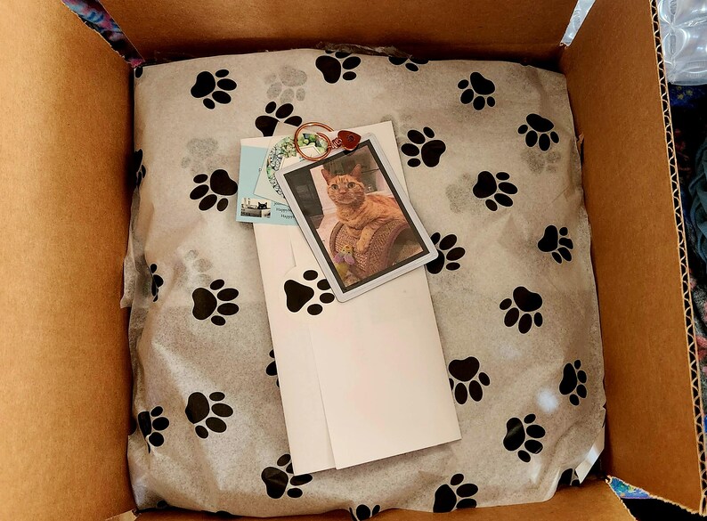 Pet memorial garden planter gift wrapped with magnetized pet photo and paw print tissue