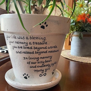 Hand-painted personalized pet memorial planter with custom wording and colors. Terracotta sympathy pot with pet name for dog or cat loss, Rainbow Bridge tribute.  Shown in rustic white.