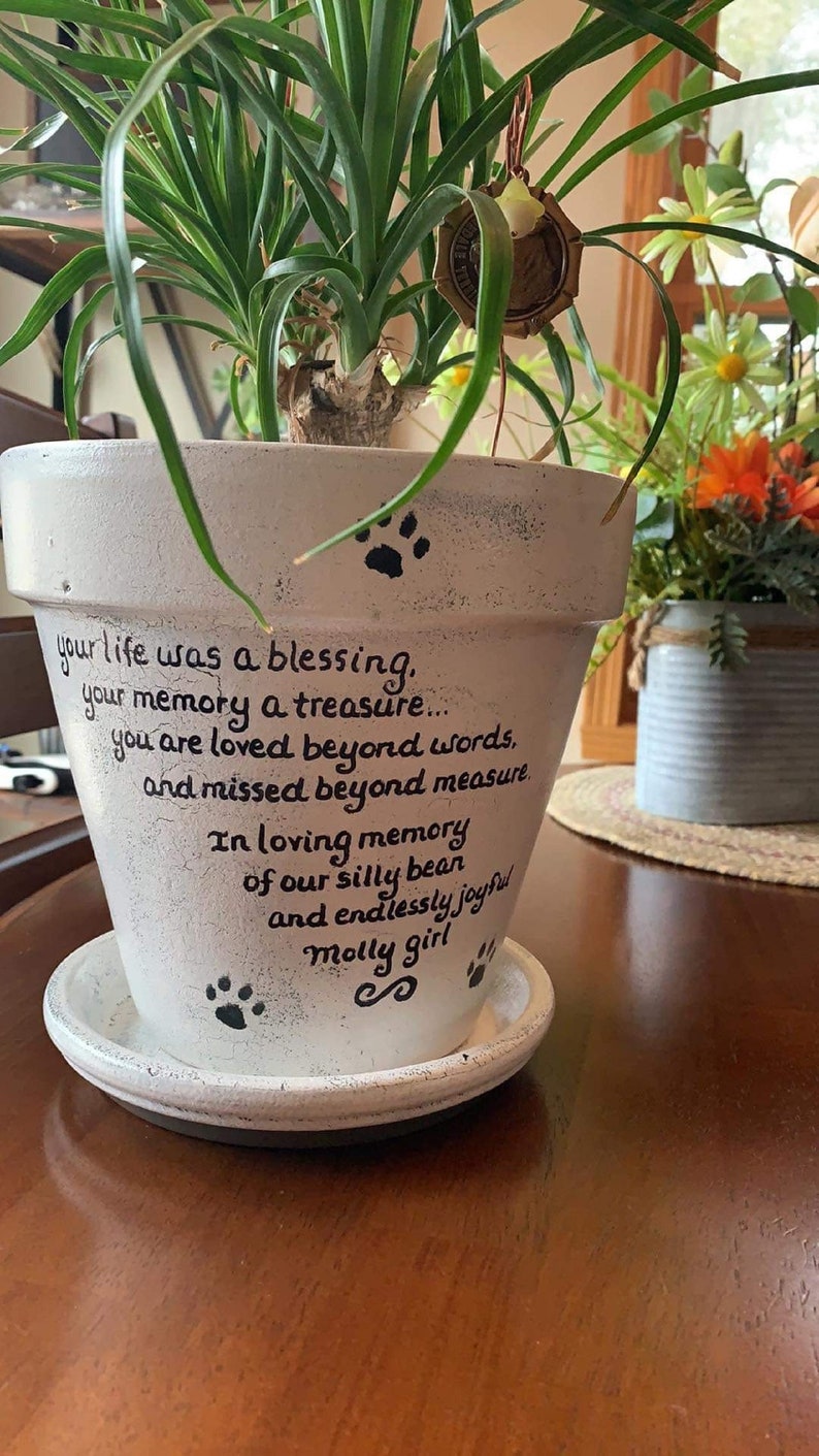 Hand-painted personalized pet memorial planter with custom wording and colors. Terracotta sympathy pot with pet name for dog or cat loss, Rainbow Bridge tribute.  Shown in rustic white.