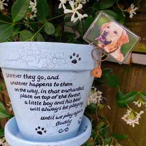 Personalized Pet Memorial Dog Memorial Gift Cat Memorial Gift Pet Sympathy Pet Loss Sympathy Pet Loss Gift Sympathy Dog Gift Baby Blue