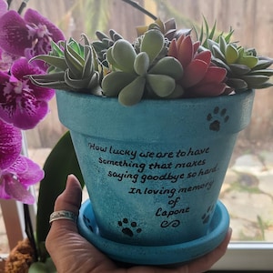 Puede incluir: Una maceta de terracota de color azul claro que contiene una variedad de suculentas verdes y rojizas. La maceta presenta un texto en negro que dice: How lucky we are to have something that makes saying goodbye so hard. In loving memory of Capone.