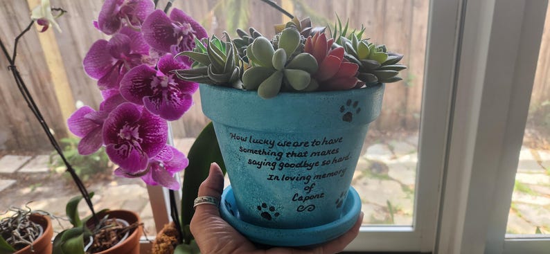 Puede incluir: Una maceta de terracota de color azul claro que contiene una variedad de suculentas verdes y rojizas. La maceta presenta un texto en negro que dice: How lucky we are to have something that makes saying goodbye so hard. In loving memory of Capone.
